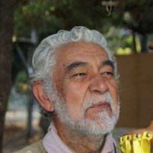 Juan Vinagre Figueroa
